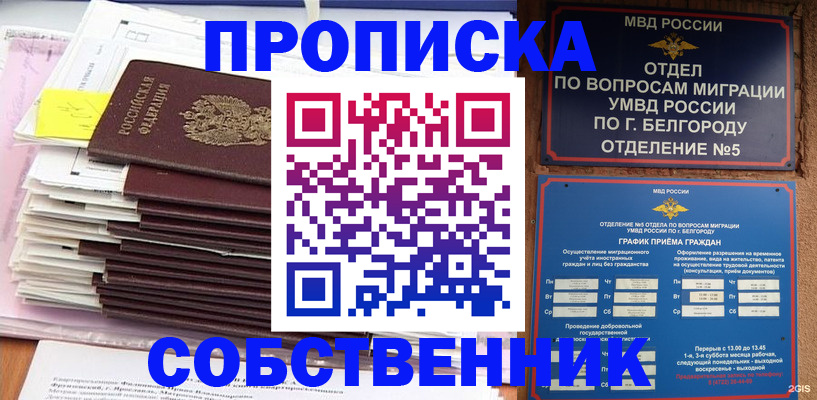 прописка законно в Волгограде